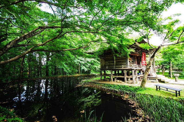 池と木々に囲まれた神社