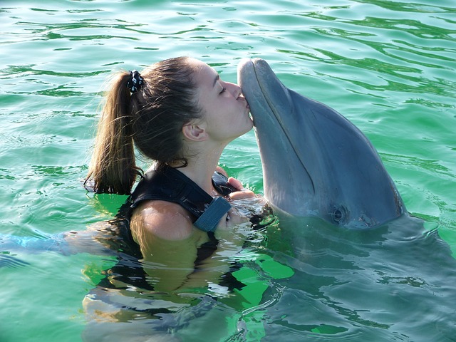 イルカとキスする女性